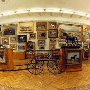 Научно-художественный музей коневодства фотографии