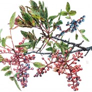 Фото: kitaygorod.vzmoscow.ru