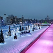 Парки для зимней фотосессии 2022-2023 фотографии