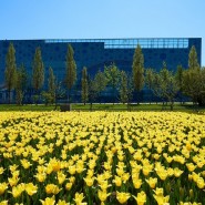 Открытие ВДНХ для прогулок 2020 фотографии