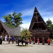Фестиваль Индонезии в саду «Эрмитаж» 2016 фотографии