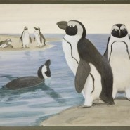 Фото: darwinmuseum.ru