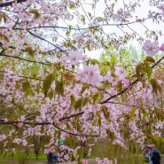 Фото: tsaritsyno-museum.ru