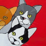 Фото: kashirka.vzmoscow.ru