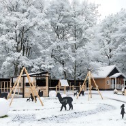 Новый год 2026 в Альпака Парке Сокольники фотографии