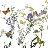 Фото: kitaygorod.vzmoscow.ru