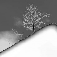 Фото: park.vzmoscow.ru