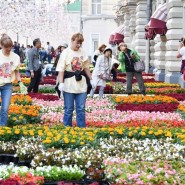Фестиваль цветов в ГУМе 2019 фотографии