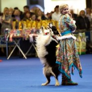 Фестиваль «Breed`s day» 2019 фотографии