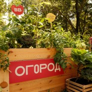 Гастрономический фестиваль «Фест Ест» 2024 фотографии