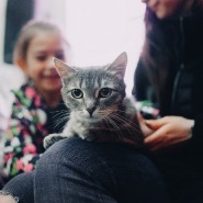 Благотворительный фестиваль WOOF 2024 фотографии