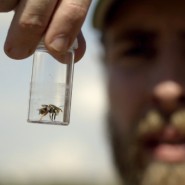 Фото: smartcinema.ru