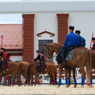 Открытие летнего сезона в Центре национальных конных традиций ВДНХ 2022 фотографии