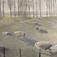 Фото: darwinmuseum.ru