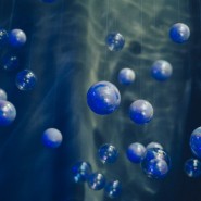 Иммерсивная мультимедиа выставка «SENSE. Почувствуй стихии» фотографии