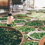 Фото: belyaevo.vzmoscow.ru