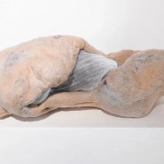 Фото: kholmy.vzmoscow.ru