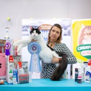 Международная выставка кошек «Ёжкин кот» в ТРЦ «Гагаринский» 2024 фотографии