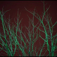 Выставка «Путь/道» фотографии