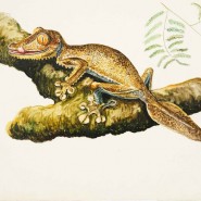 Фото: darwinmuseum.ru