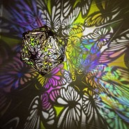 Фото: darwinmuseum.ru