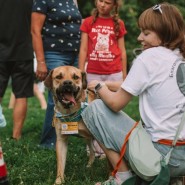 Фото: fund4dogs.ru