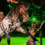 Цирковое шоу «Бурлеск!» 2019 фотографии