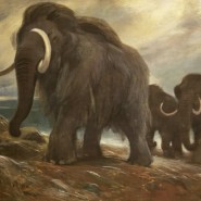 Фото: darwinmuseum.ru