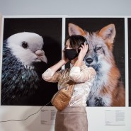 Выставка «Москва без окраин» фотографии