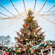 Фото: zima.mos.ru