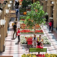 Фестиваль цветов в ГУМе 2017 фотографии