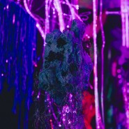 Иммерсивная мультимедиа выставка «SENSE. Почувствуй стихии» фотографии