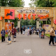 Фестиваль «Четыре Лапы Фест» 2026 фотографии