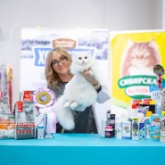 Международная выставка кошек «У Лукоморья» в ТРЦ «Гагаринский» 2025 фотографии