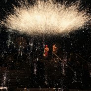 Фото: darwinmuseum.ru