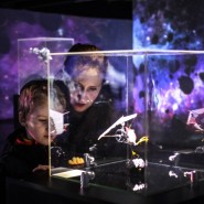 Выставка «Таинственные обитатели Вселенной» фотографии