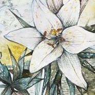 Фото: zagorje.vzmoscow.ru