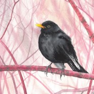 Фото: belyaevo.vzmoscow.ru