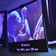 Фото: vk.com/biomuseum