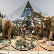 Фото: vk.com/darwinmuseum