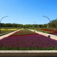 Открытие ВДНХ для прогулок 2020 фотографии