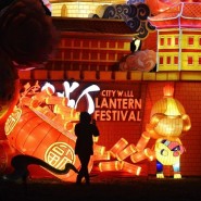 Фестиваль волшебных китайских фонарей в парке «Сокольники» 2019/2020 фотографии