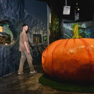 Зима рекордов в интерактивном музее «Рекордиум» фотографии