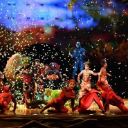 Шоу Cirque du Soleil «OVO» 2018 фотографии