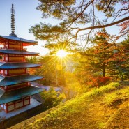 Лекция «Путешествие в Японию, лайфхаки по стране» фотографии