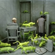Выставка «Между воображением и реальностью» фотографии