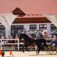 Чемпионат и Первенство Москвы по драйвингу 2023 фотографии