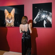 Выставка портретов диких животных «Affinity» фотографии