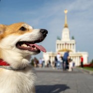 Фото: vdnh.ru
