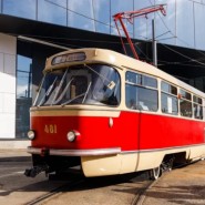 Фото: leto.mos.ru